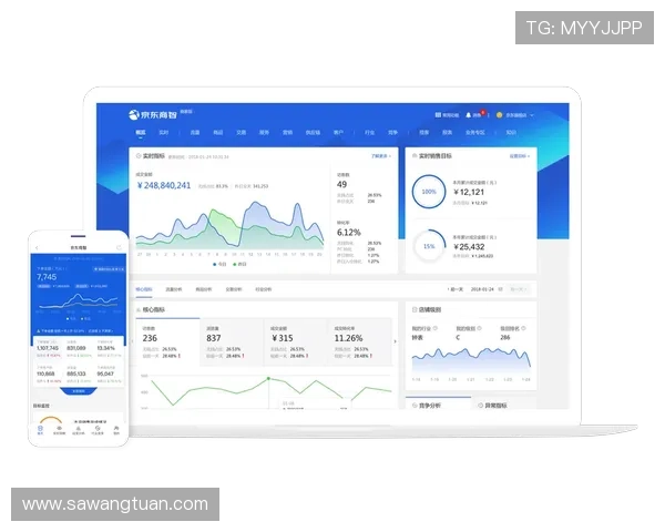 问鼎旗舰网站如何通过数据分析提升运营效率与用户满意度